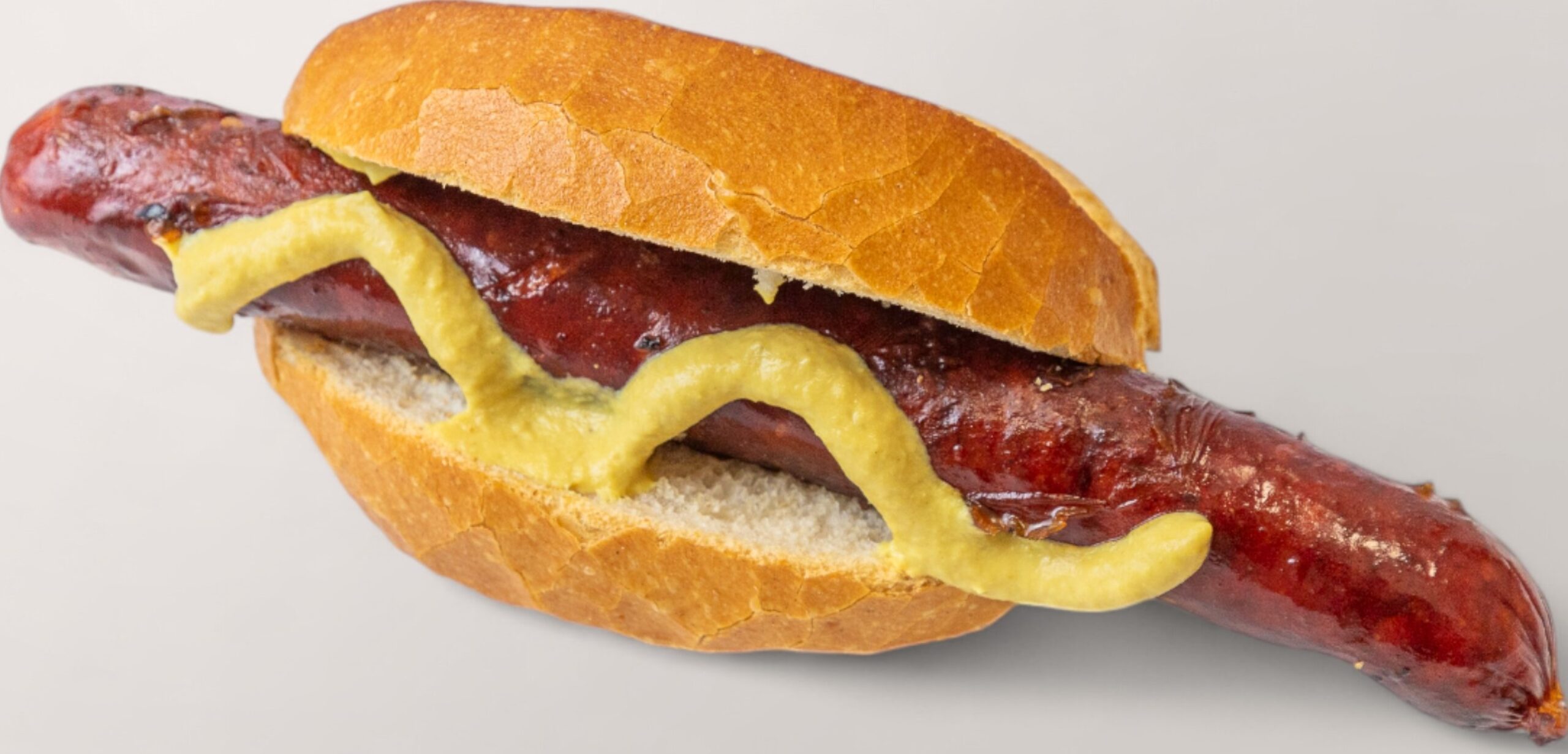 Balkan Burger Virsla